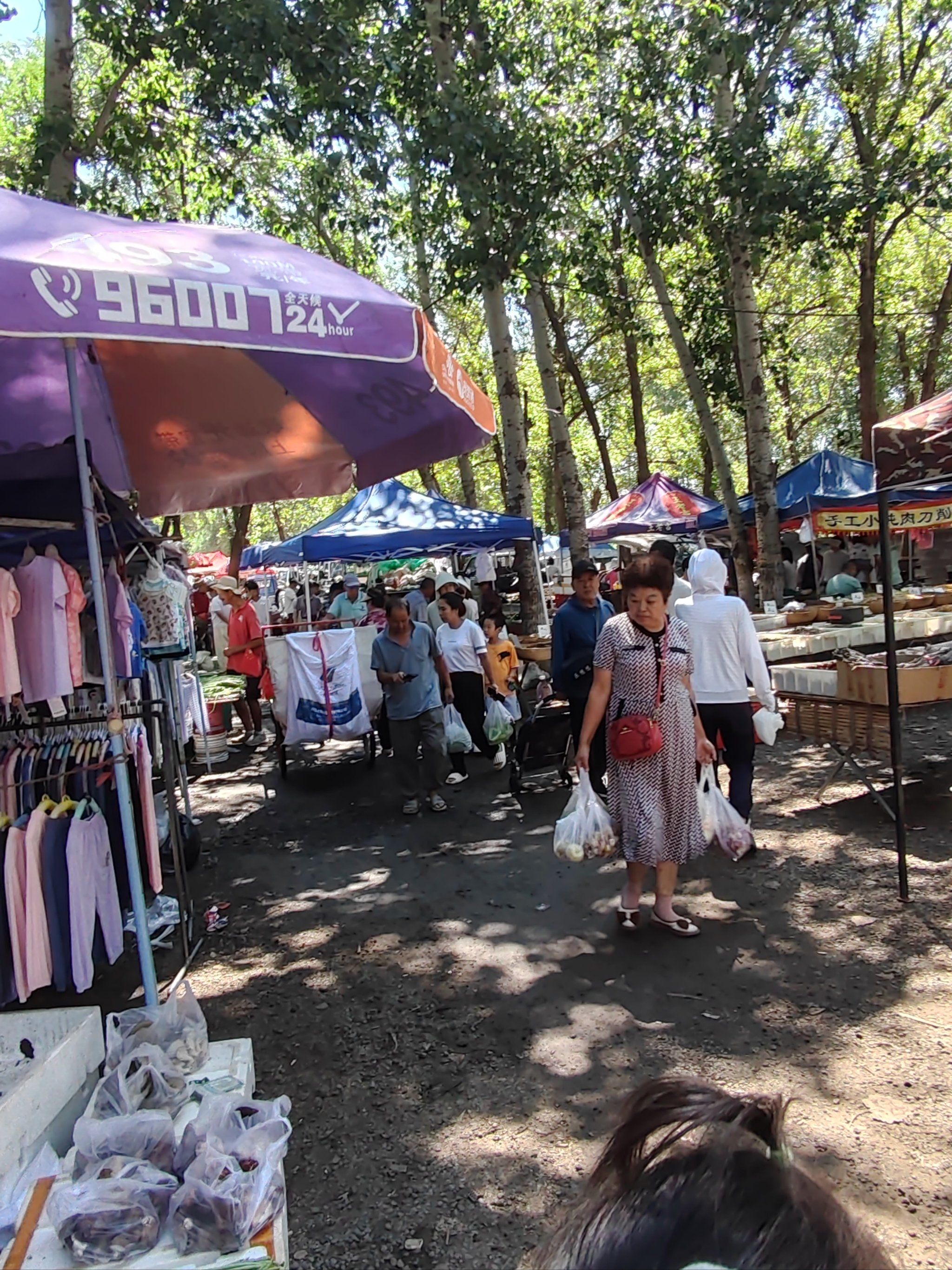 0元玩转这座城 梨村便民大集,哈哈,早就想来了,一直没有来成,孩宗在