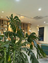 -百秀名媛纹绣美学护肤中心