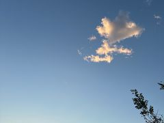 -白水寺森林公园