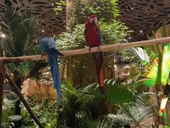 -杭州开元森泊度假乐园