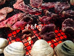 -鞍山戰