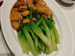 -新侨小馆(东直门北小街店)