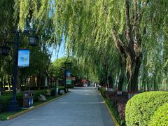 -西安汉城湖景区