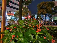 -Peet's Coffee皮爷咖啡(大学路店)