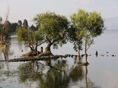 -梦都海鲜酒家(万达广场江桥店)