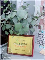 -Wisezone唯点穿耳打耳洞专业国际连锁品牌