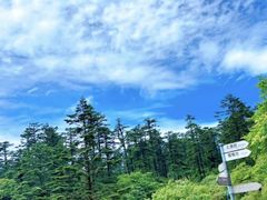 -瓦屋山景区