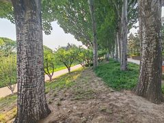 -元大都城垣遗址公园