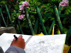 -西苑公园