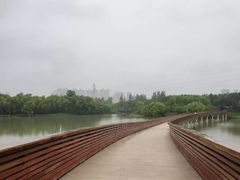 -昆山城市生态森林公园