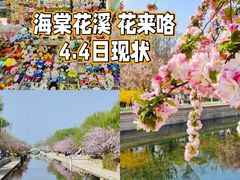 -元大都城垣遗址公园