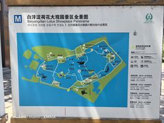 -白洋淀景区