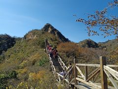 -大岭沟猕猴桃谷风景区