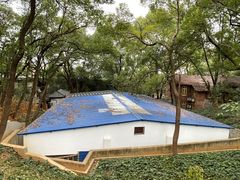 -马王堆汉墓遗址