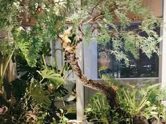 -海立阁海鲜江浙菜(漕河泾印象城店)