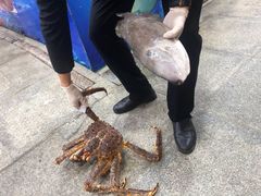 -东江海鲜酒家(艺都分店)