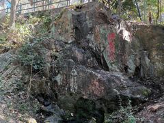 -上海佘山国家森林公园东门地面停车场