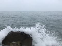 -青枫公园