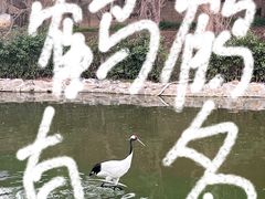 -杭州野生动物世界