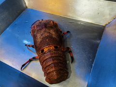 -協成海鮮火鍋(老店)