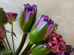 -循礼门鲜花花市(武汉循礼门店)