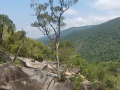 -霸王岭国家森林公园