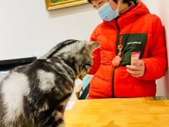 -猫色咖啡·猫咖