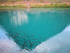 -靖西鹅泉风景区