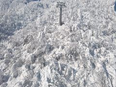 -西岭雪山大飞水景区