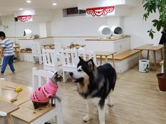 -李小姐の猫咖啡馆(五角场店)
