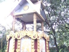 -瑞丽独树成林风景区