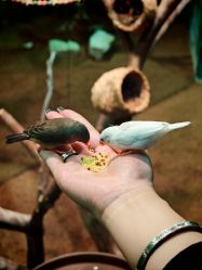 点击看大图 -Zoolung Zoolung动物主题公园(海信广场店)