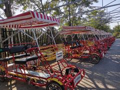 -永定河休闲森林公园