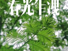 -铁山坪森林公园