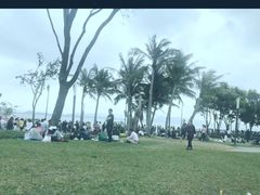 -宝安西湾红树林湿地公园