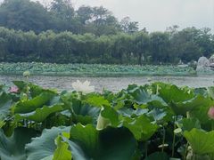 -南戴河国际娱乐中心