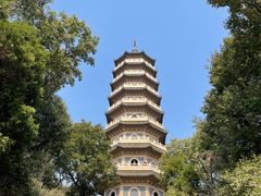 -灵谷景区