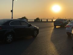 -合肥滨湖国家森林公园