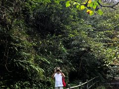 -夏霖九天银瀑风景区