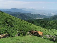 -大姆山草场
