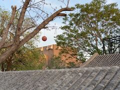 -糖房咖啡(南锣鼓巷店)