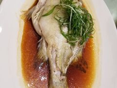 -黄埔华苑酒家(黄埔店)