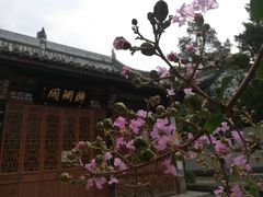 -南京中国近代史遗址博物馆(南京总统府)