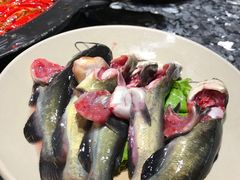 现杀黄辣丁-蜀大侠火锅(寰球文化地标·总府店)