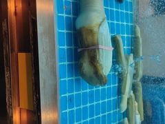 -龙鲜会·澳门生鲜火锅(诚品店)