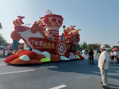 -荷兰花海