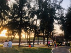 -宝安西湾红树林湿地公园