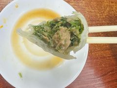 -启子大馅饺子