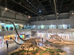 -自贡恐龙博物馆