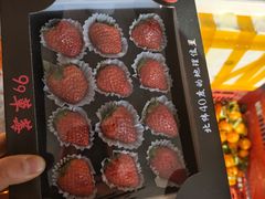 -岳各庄批发市场(西四环中路店)